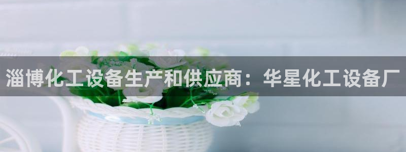 新城平台登录密码忘了怎么找回