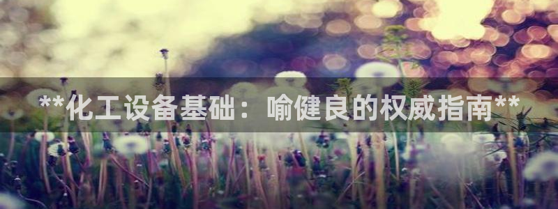 新城平台代理注册公司