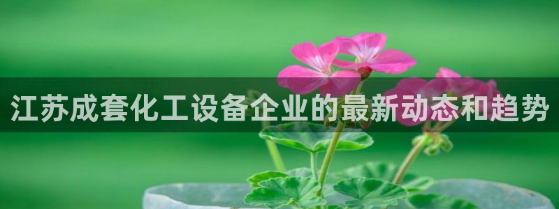 新城平台注册网址是什么
