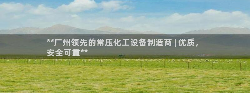 新城平台公司
