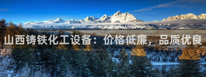 新城平台总代理是谁