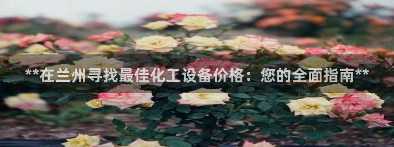 新城平台官网