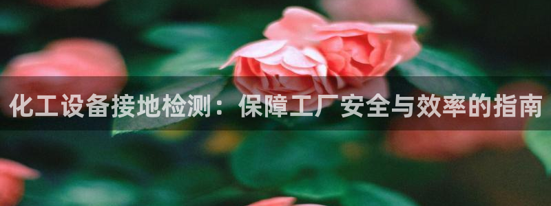 新城平台是干嘛的公司啊