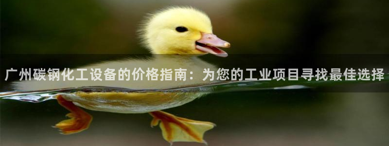 新城平台是干嘛的公司