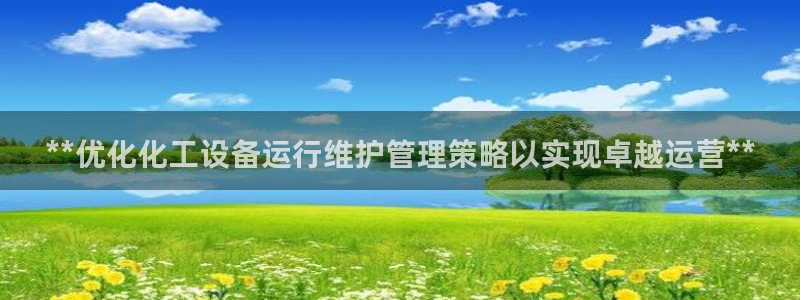 新城平台线路登录不上去怎么回事呀