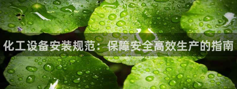 新城平台登录入口官网首页