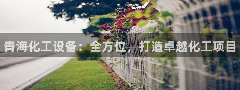 新城平台登录入口官网查询