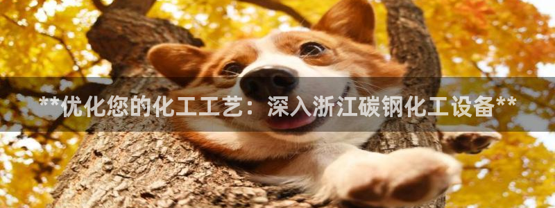 新城平台线路登录不上去