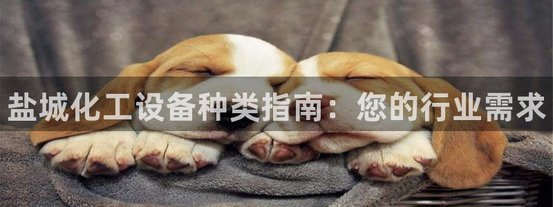 新城平台代理电话