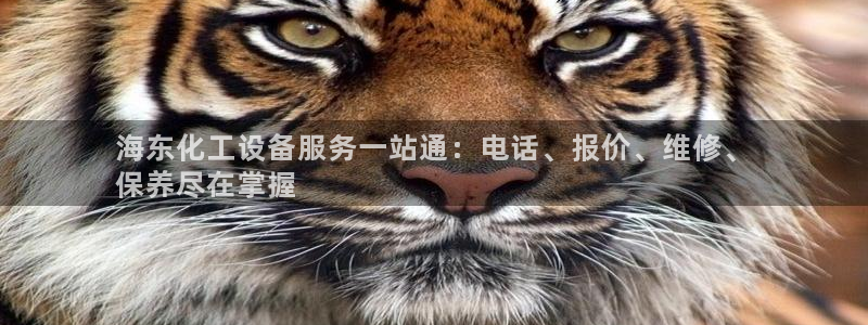 新城平台线路登录