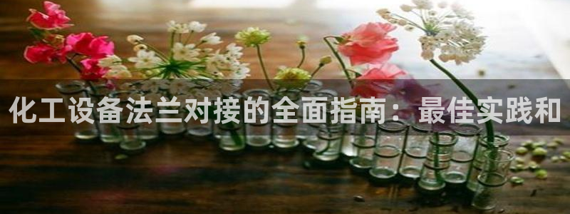 新城平台公司
