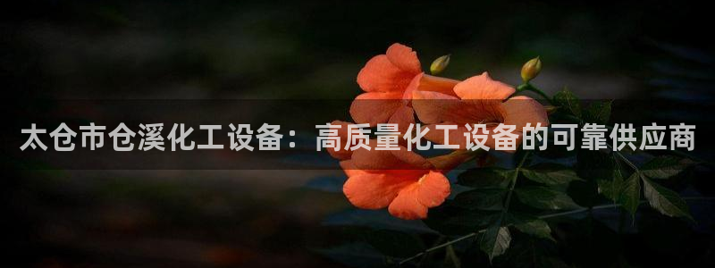 新城平台属于哪个系列