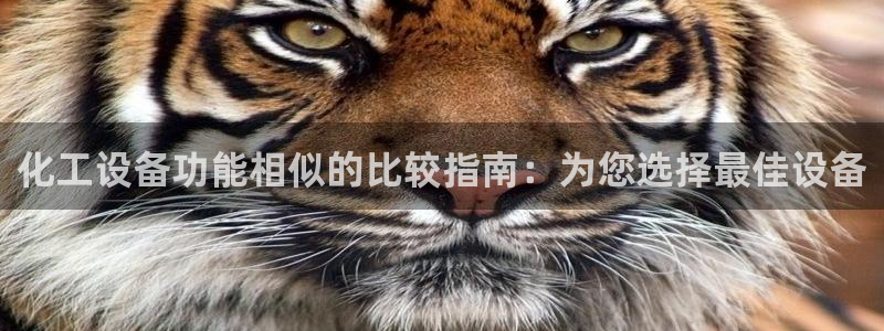 新城平台注册网址查询