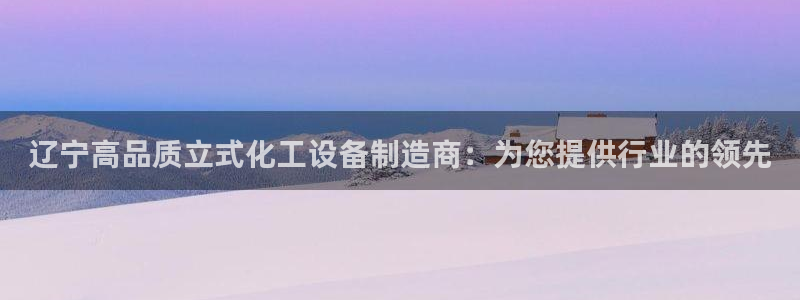 新城平台注册公司流程