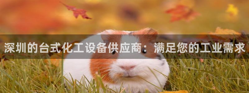 新城平台代理注册