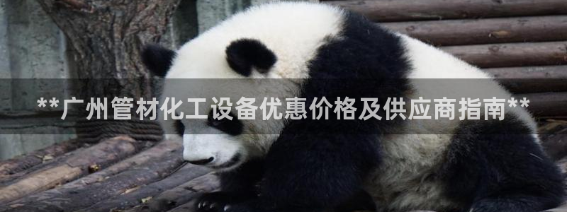 新城平台注册登录地址怎么填