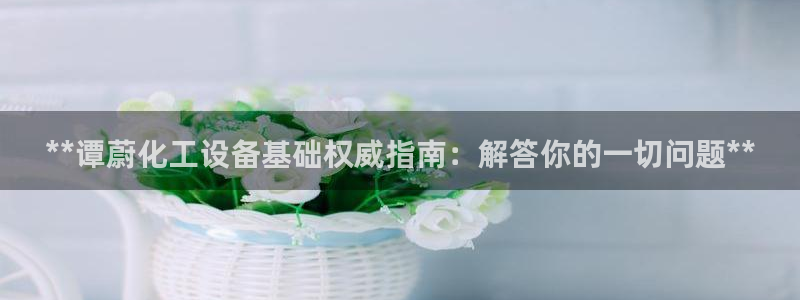新城平台属于哪个系列