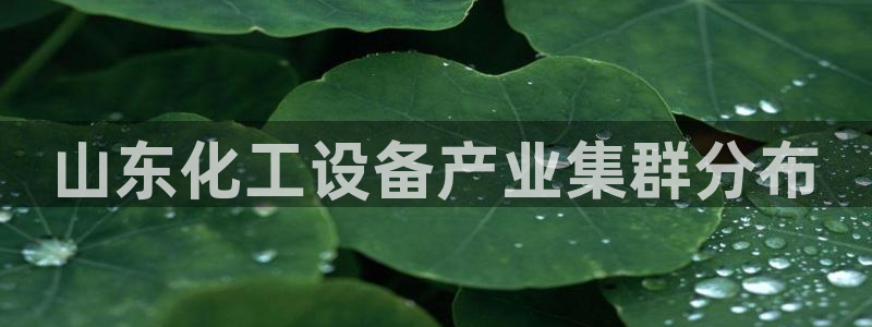新城平台企业信息查询