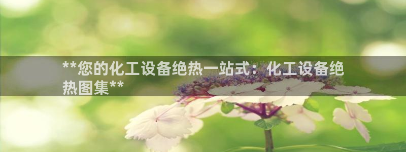 新城平台登录入口官网首页下载