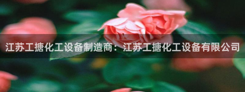 新城平台注册登录地址是什么