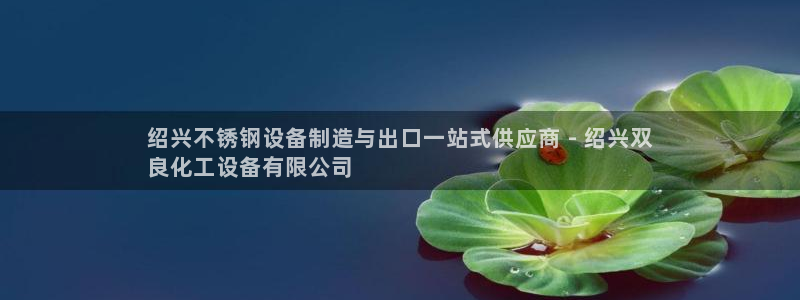 新城平台登录入口官网网址是多少