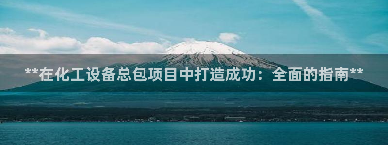 新城平台企业信息查询