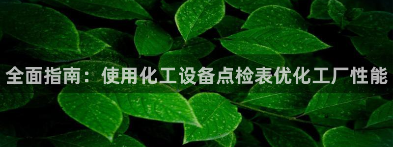 新城平台登录入口官网查询信息