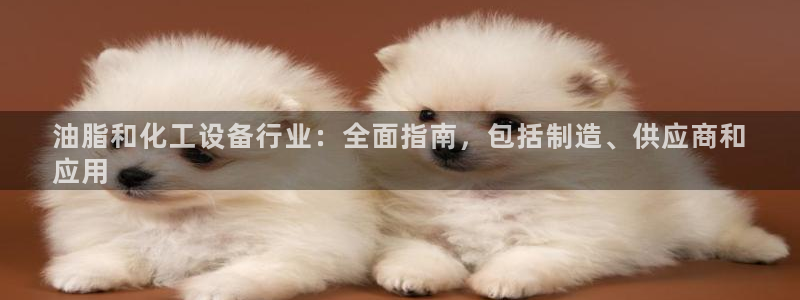 新城平台线路登录不上去