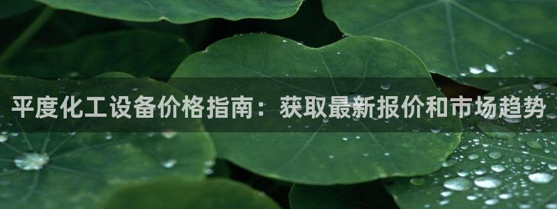 新城平台总代理是谁