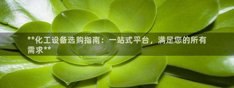 新城平台代理注册