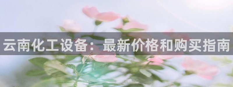 新城平台登录入口官网网址