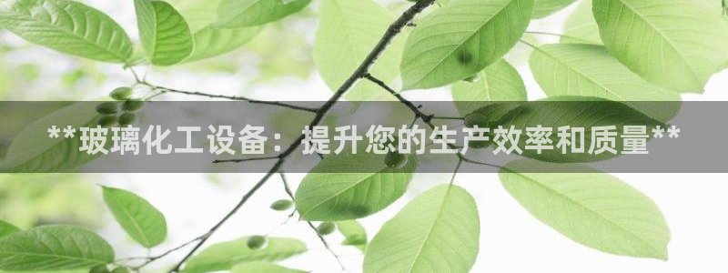 新城平台注册登录地址是什么