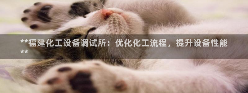 新城平台官网首页网址