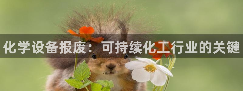新城平台线路登录不上去怎么回事呢