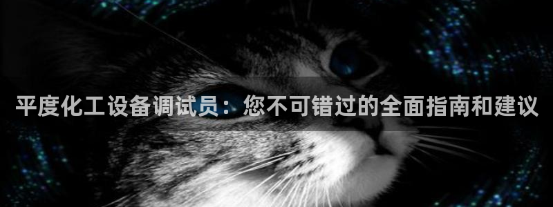 新城平台注册公司流程图