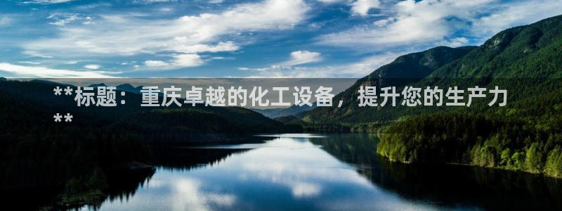 新城平台是干嘛的公司