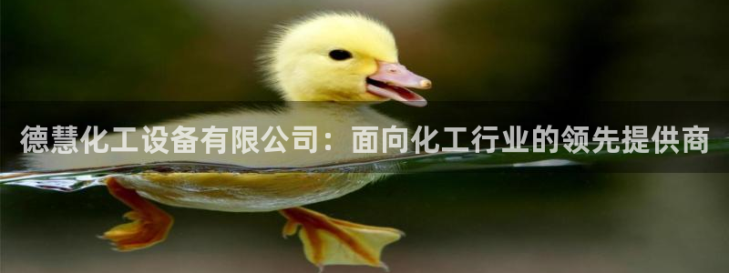新城平台注册登录地址