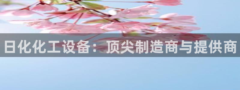 新城平台注册登录地址怎么填