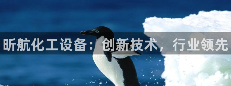 新城平台线路登录不上去