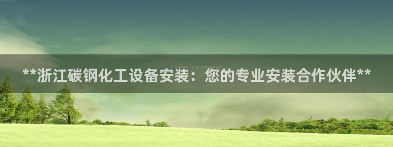 新城平台注册公司流程