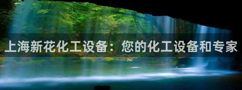 新城平台官网