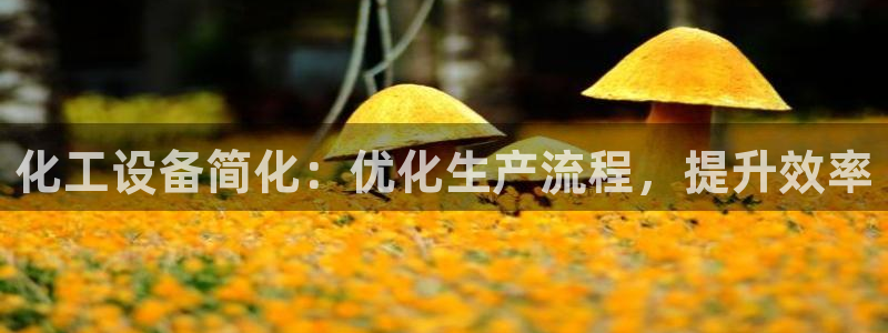 新城平台注册网址查询