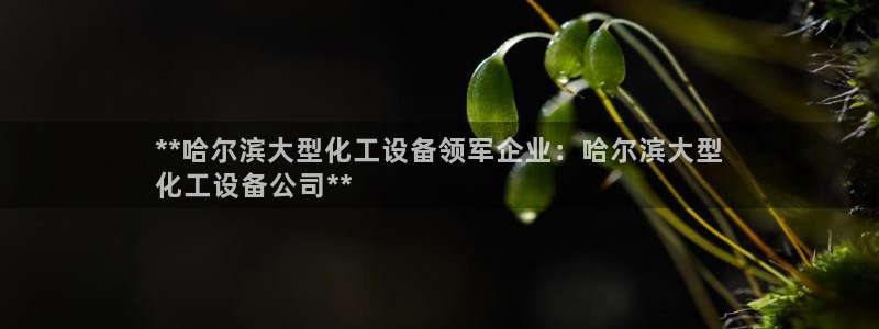新城平台授权注册