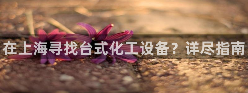 新城平台注册