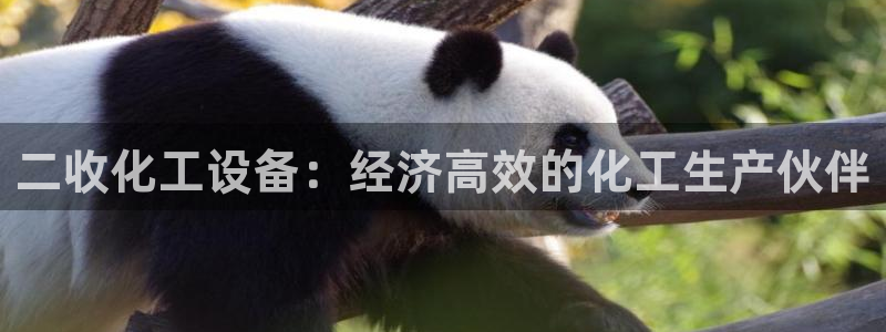 新城平台官网首页入口