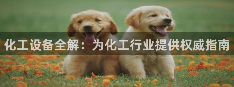 新城平台代理电话