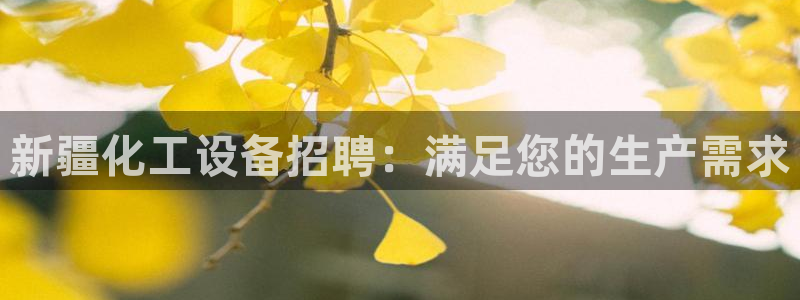 新城平台线路登录不上去了怎么办