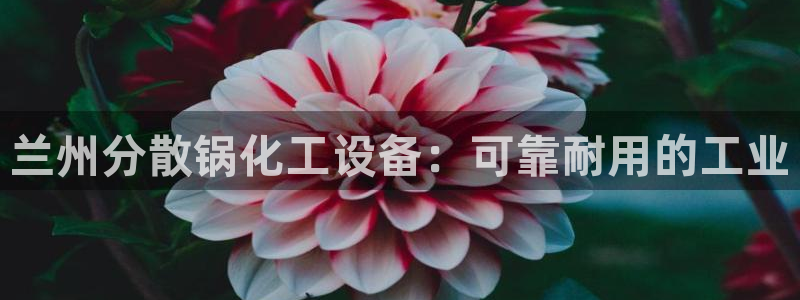 新城平台官网