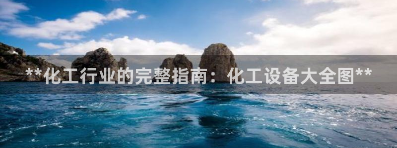 新城平台总代