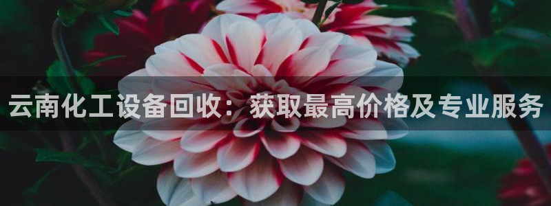 新城平台线路登录不上去怎么回事